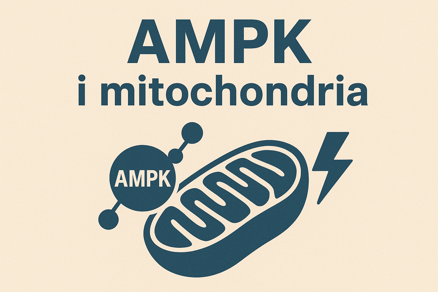 AMPK i mitochondria — o co chodzi?